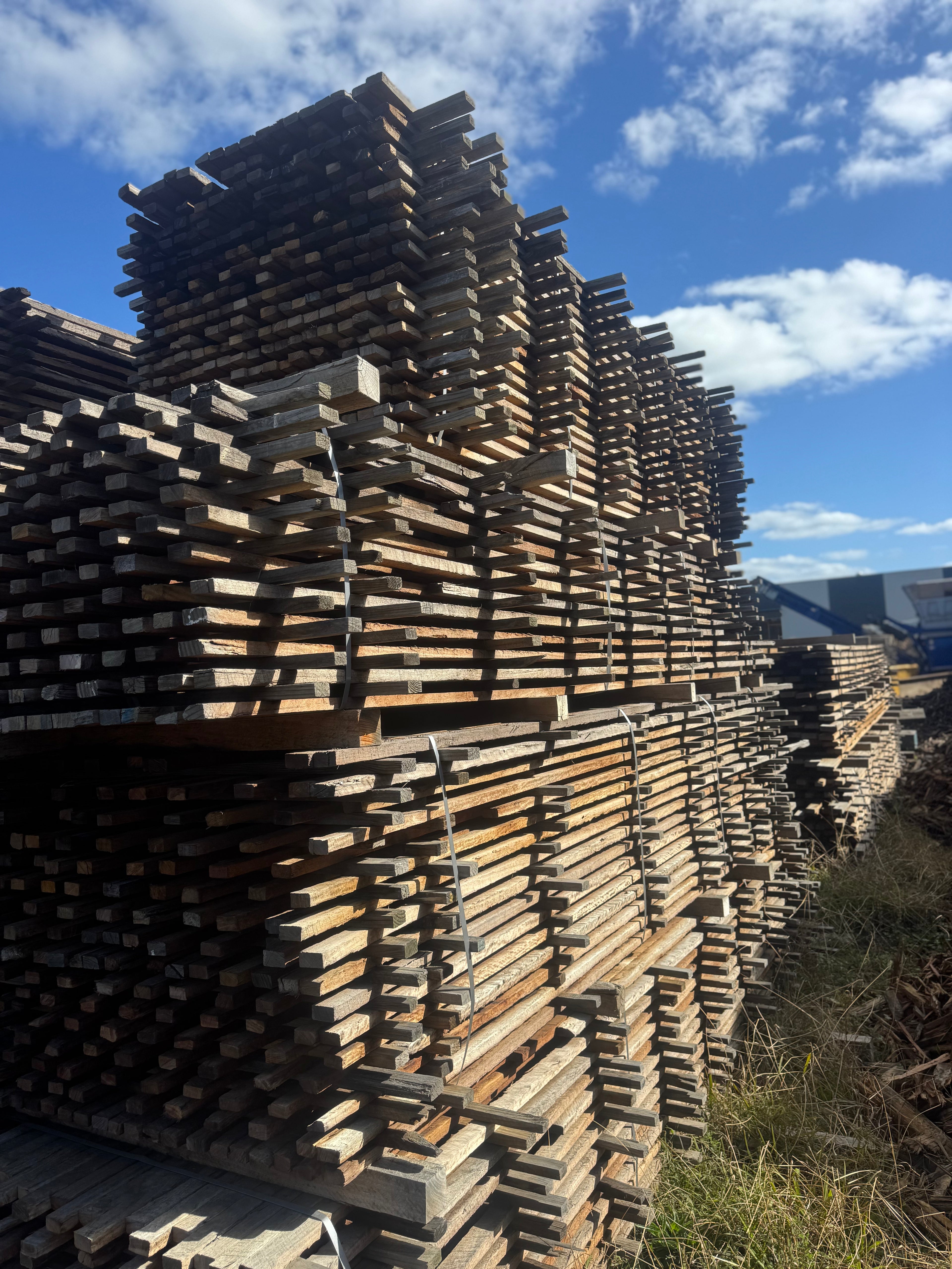 Seasoned 50x25 Ironbark Timber - Rough Sawn (Dressing Available)