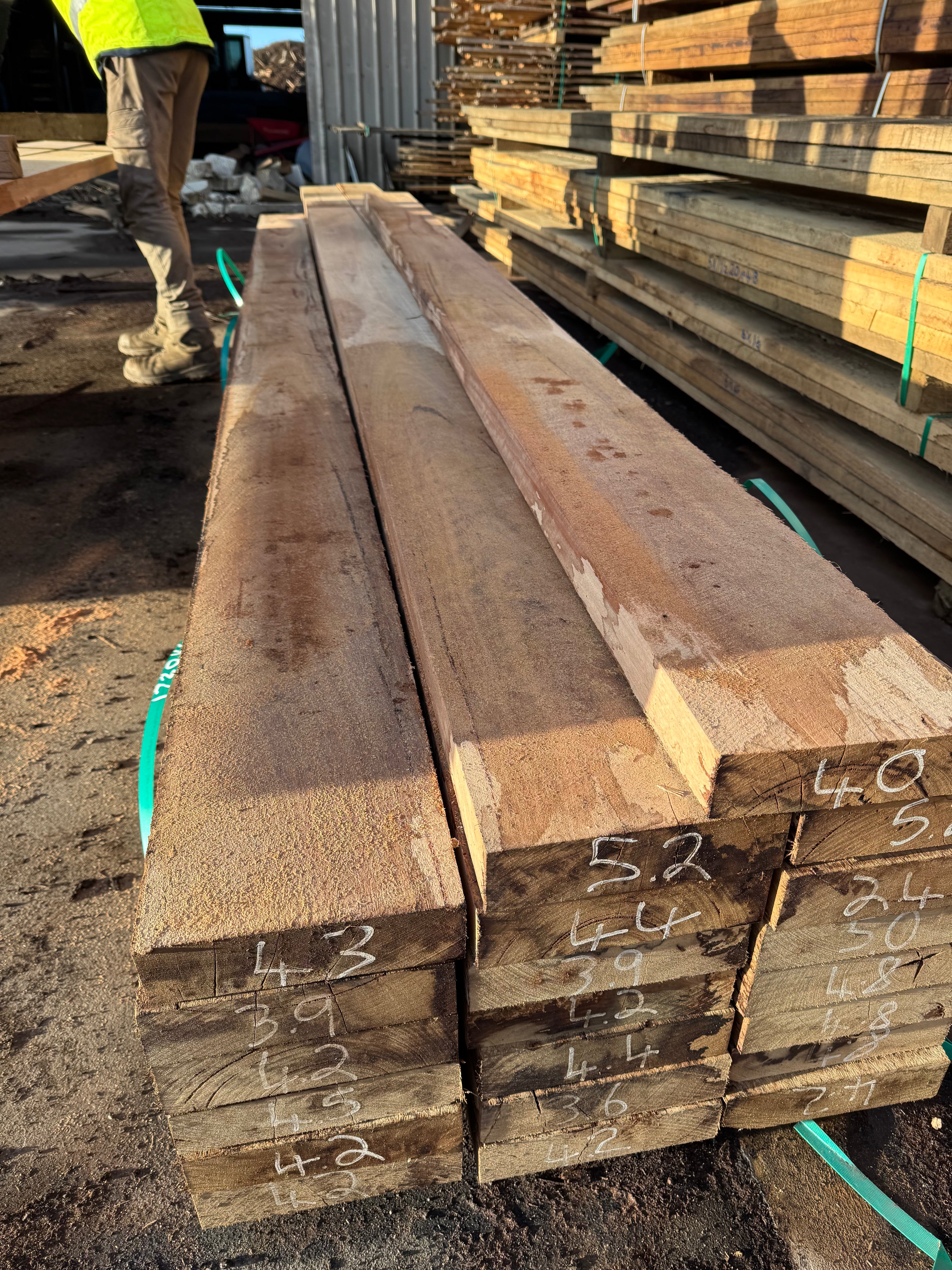200x50mm Blackbutt Beams - Premium Australian Hardwood